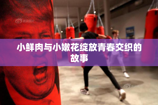 小鲜肉与小嫩花绽放青春交织的故事