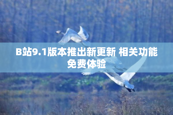 B站9.1版本推出新更新 相关功能免费体验