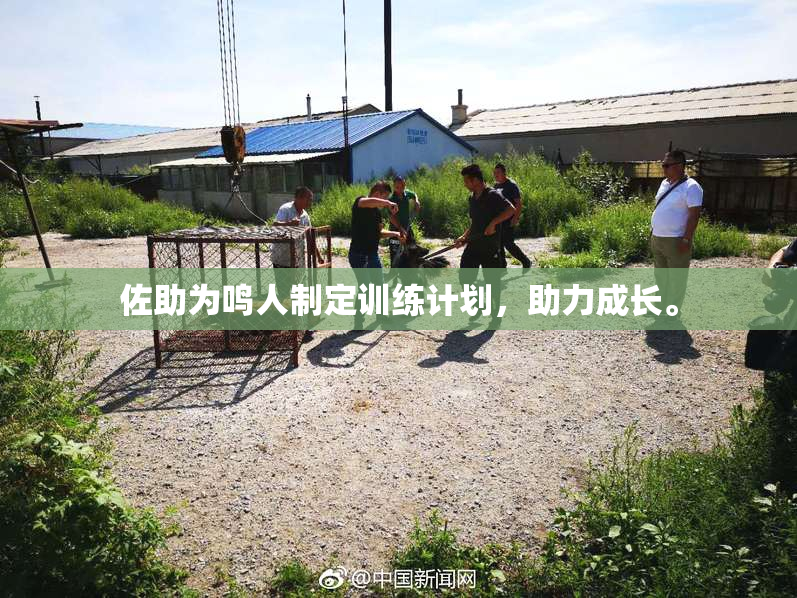 佐助为鸣人制定训练计划，助力成长。