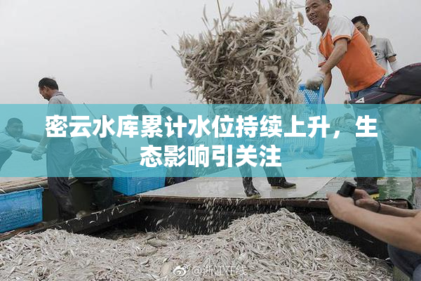密云水库累计水位持续上升，生态影响引关注