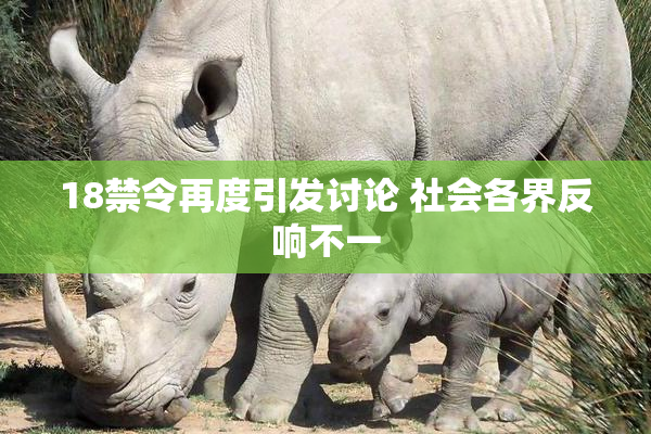 18禁令再度引发讨论 社会各界反响不一