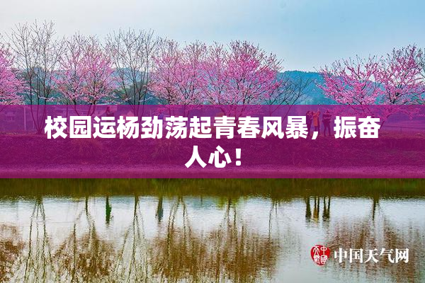 校园运杨劲荡起青春风暴，振奋人心！