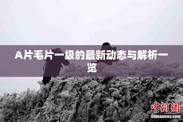 A片毛片一级的最新动态与解析一览