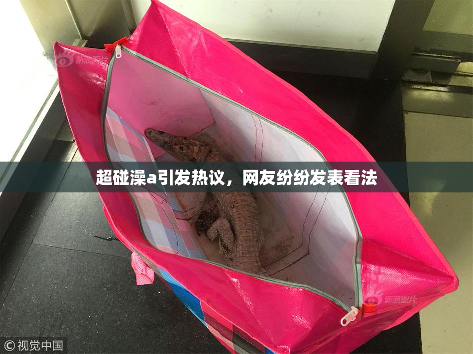 超碰澡a引发热议，网友纷纷发表看法
