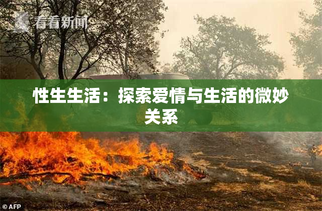 性生生活：探索爱情与生活的微妙关系
