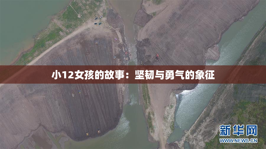 小12女孩的故事：坚韧与勇气的象征