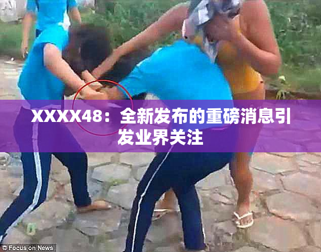 XXXX48：全新发布的重磅消息引发业界关注