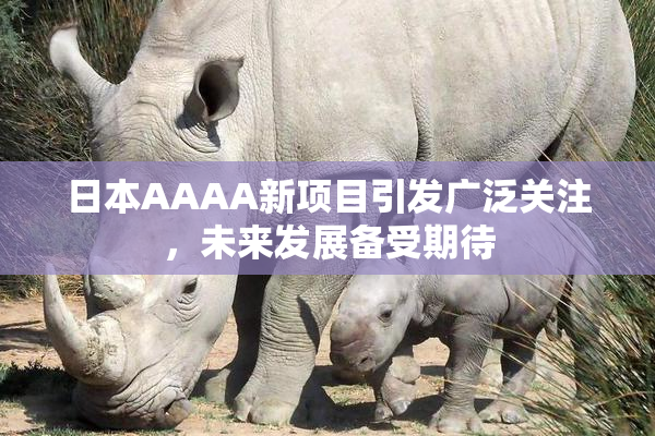 日本AAAA新项目引发广泛关注，未来发展备受期待