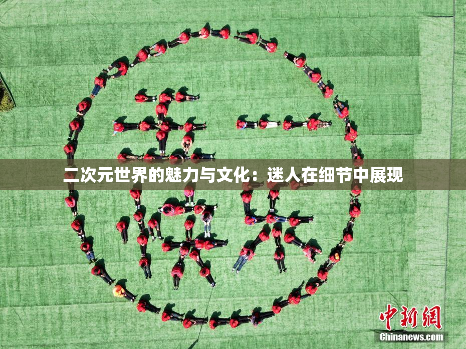 二次元世界的魅力与文化：迷人在细节中展现