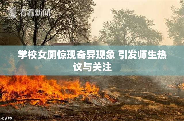 学校女厕惊现奇异现象 引发师生热议与关注