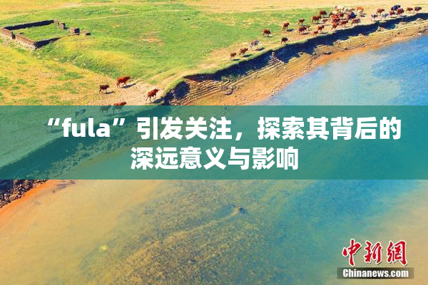“fula”引发关注，探索其背后的深远意义与影响