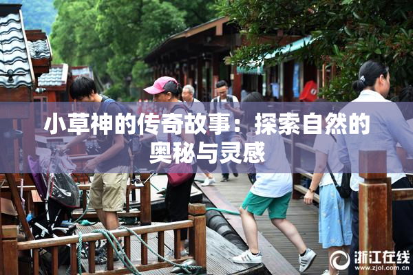 小草神的传奇故事：探索自然的奥秘与灵感