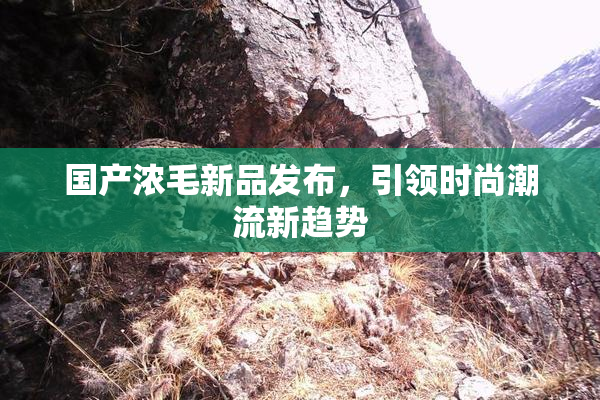 国产浓毛新品发布，引领时尚潮流新趋势