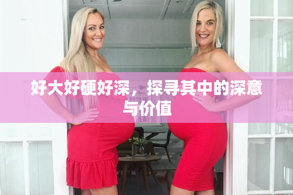 好大好硬好深，探寻其中的深意与价值