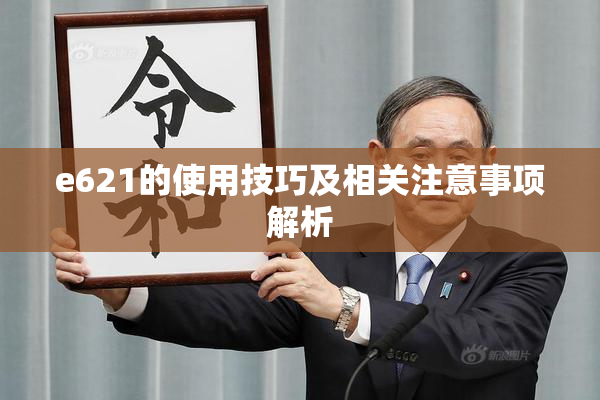 e621的使用技巧及相关注意事项解析