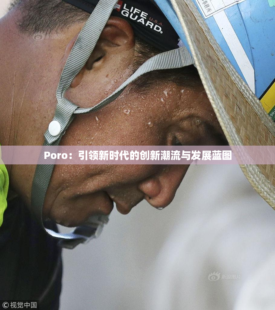 Poro：引领新时代的创新潮流与发展蓝图