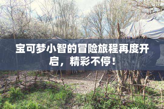 宝可梦小智的冒险旅程再度开启，精彩不停！