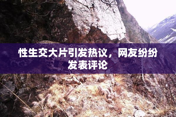 性生交大片引发热议，网友纷纷发表评论