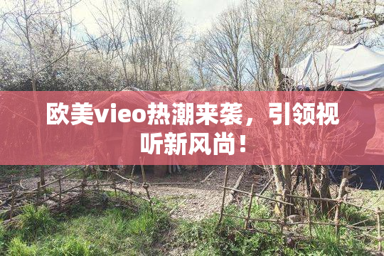 欧美vieo热潮来袭，引领视听新风尚！