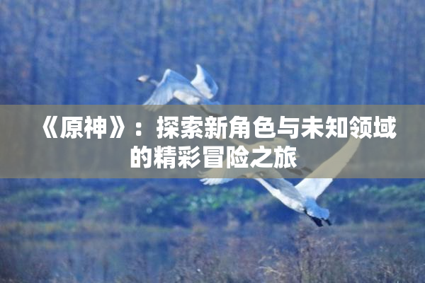 《原神》：探索新角色与未知领域的精彩冒险之旅