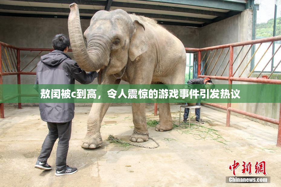 敖闰被c到高，令人震惊的游戏事件引发热议
