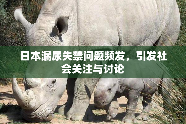 日本漏尿失禁问题频发，引发社会关注与讨论
