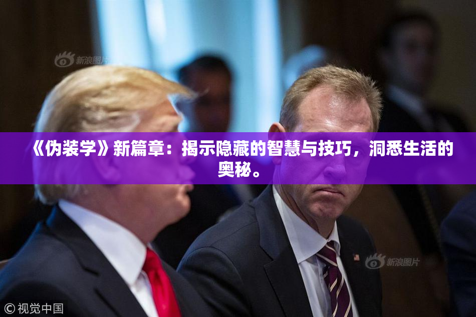《伪装学》新篇章：揭示隐藏的智慧与技巧，洞悉生活的奥秘。