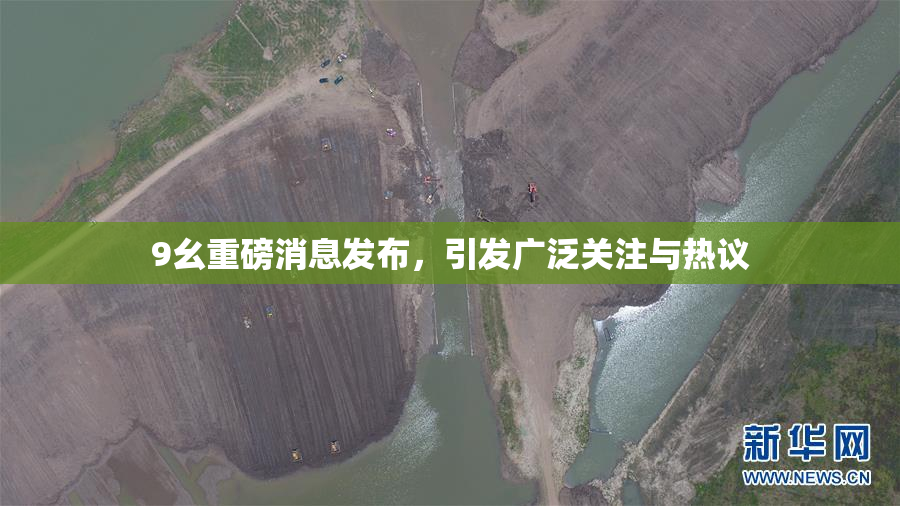 9幺重磅消息发布，引发广泛关注与热议