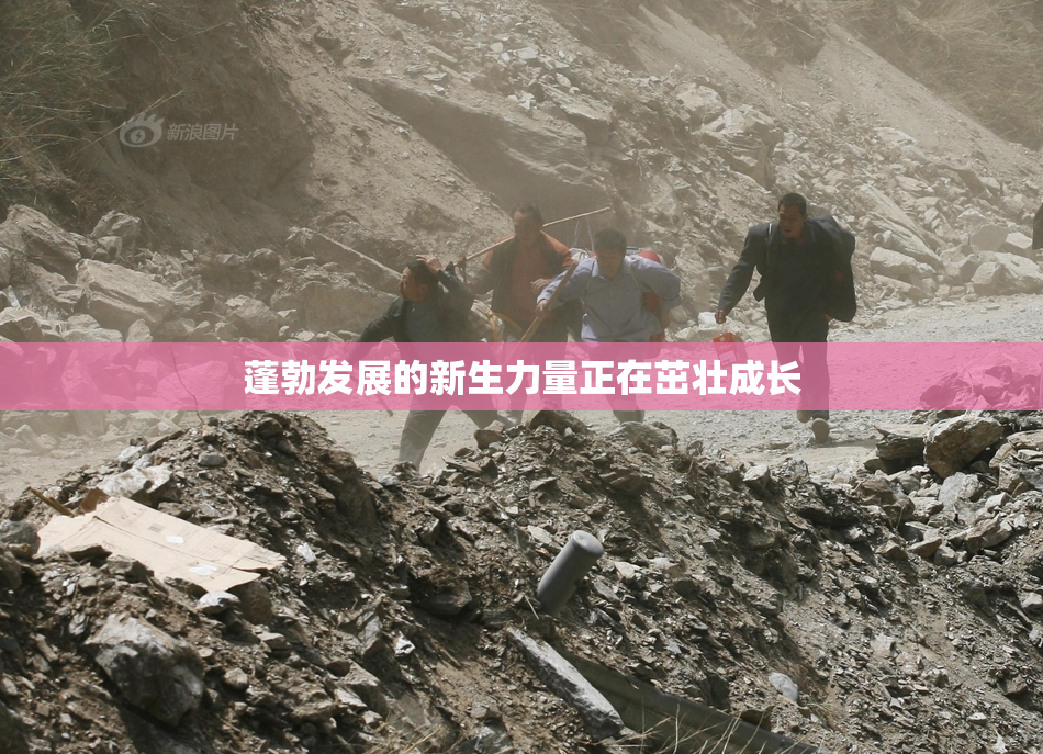 蓬勃发展的新生力量正在茁壮成长