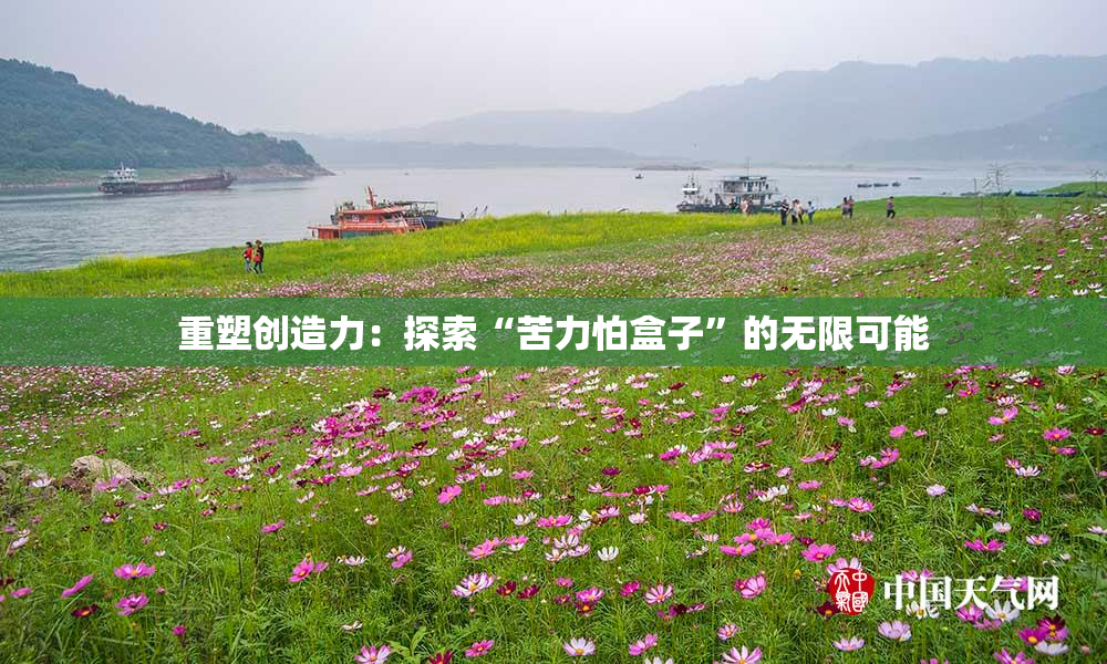 重塑创造力：探索“苦力怕盒子”的无限可能