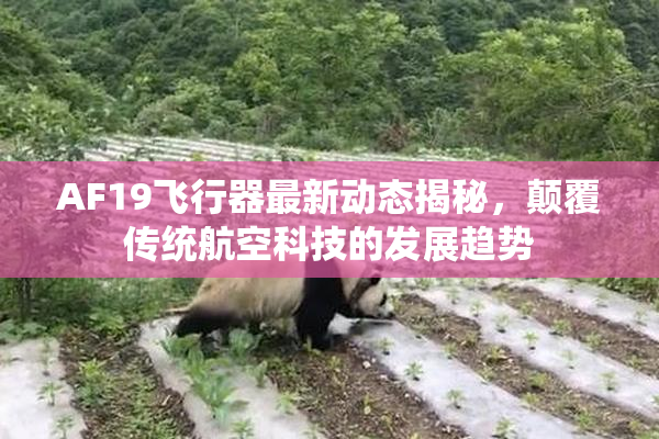AF19飞行器最新动态揭秘，颠覆传统航空科技的发展趋势