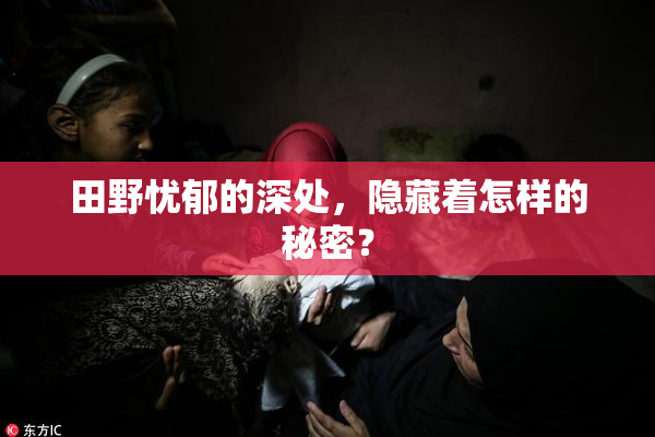 田野忧郁的深处，隐藏着怎样的秘密？