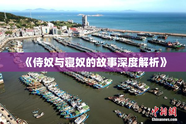 《侍奴与寝奴的故事深度解析》