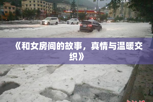 《和女房间的故事，真情与温暖交织》