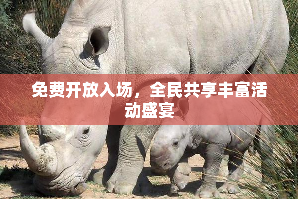 免费开放入场，全民共享丰富活动盛宴