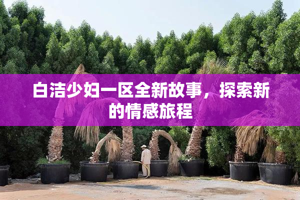 白洁少妇一区全新故事，探索新的情感旅程