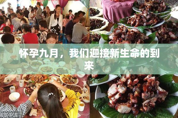 怀孕九月，我们迎接新生命的到来