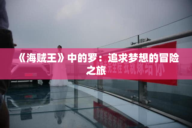 《海贼王》中的罗：追求梦想的冒险之旅