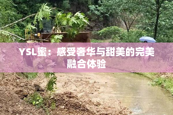 YSL蜜：感受奢华与甜美的完美融合体验