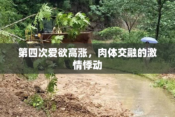 第四次爱欲高涨，肉体交融的激情悸动