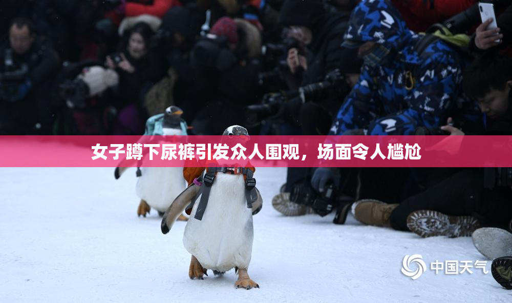 女子蹲下尿裤引发众人围观，场面令人尴尬