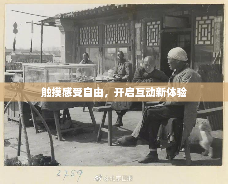 触摸感受自由，开启互动新体验