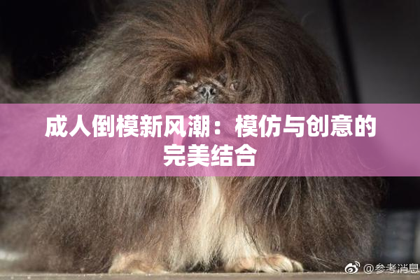 成人倒模新风潮：模仿与创意的完美结合