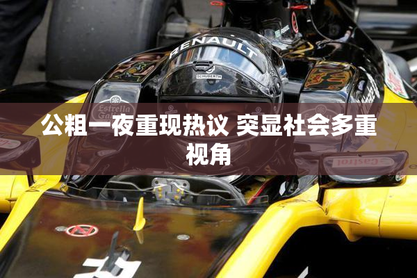 公粗一夜重现热议 突显社会多重视角