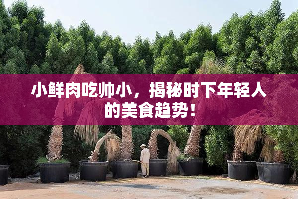 小鲜肉吃帅小，揭秘时下年轻人的美食趋势！