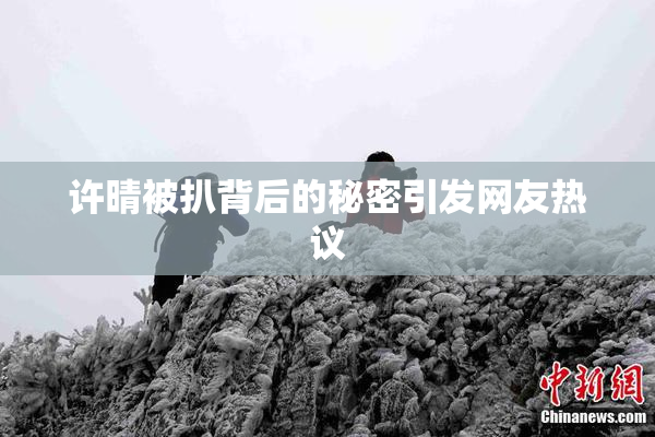 许晴被扒背后的秘密引发网友热议
