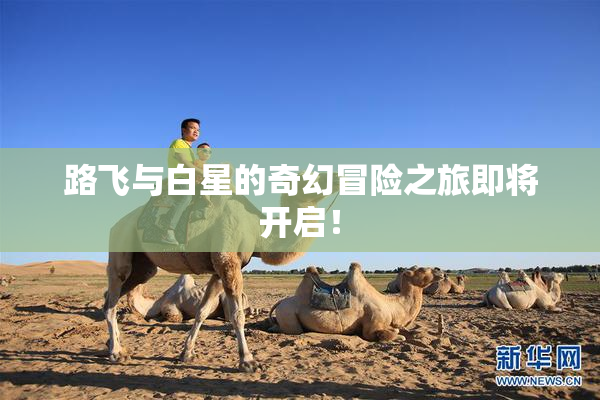 路飞与白星的奇幻冒险之旅即将开启！