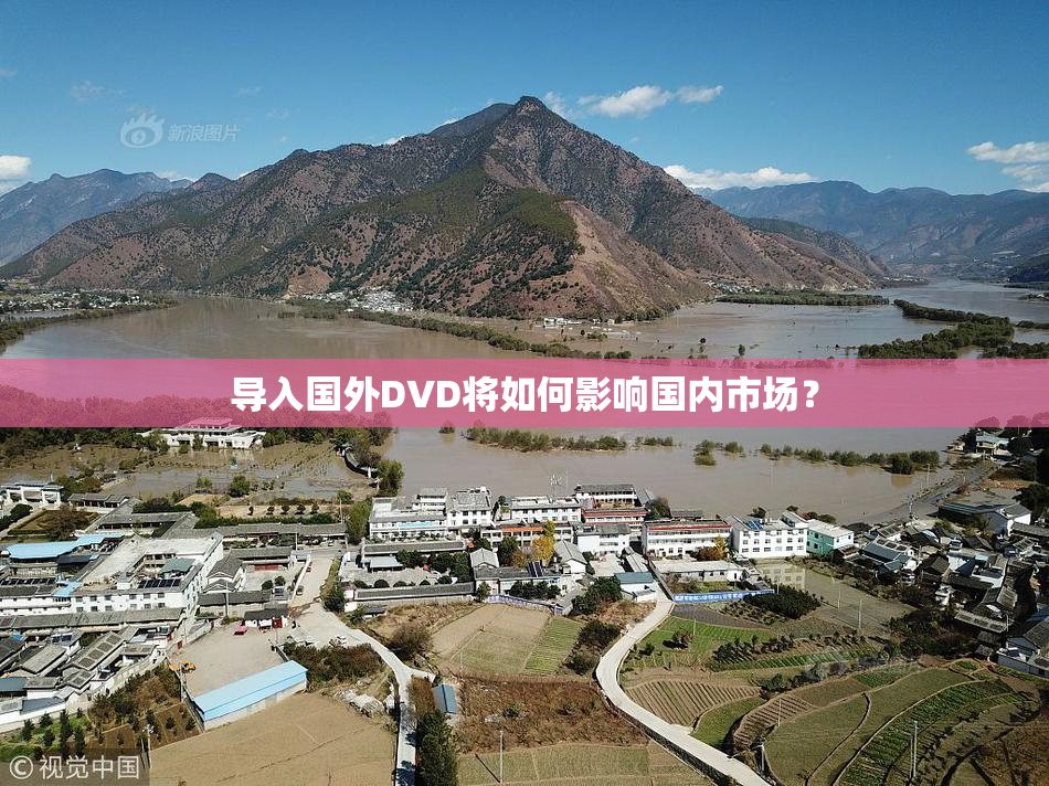 导入国外DVD将如何影响国内市场？