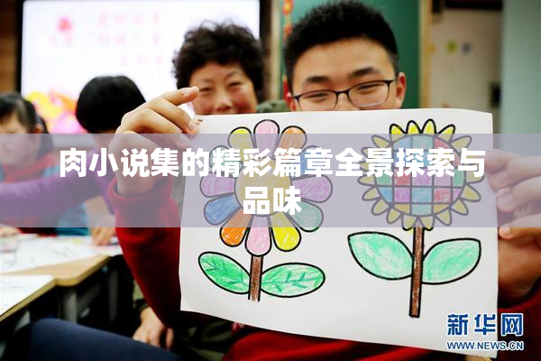 肉小说集的精彩篇章全景探索与品味
