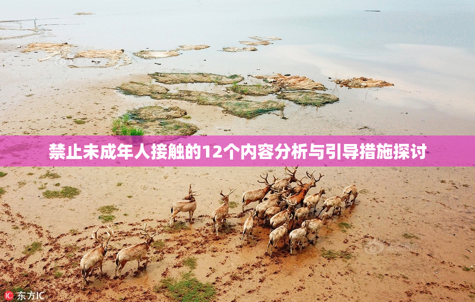 禁止未成年人接触的12个内容分析与引导措施探讨